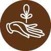 Parama Naturals
